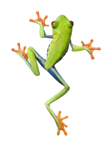 frog